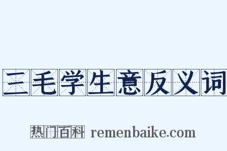 三毛学生意反义词是什么意思的图片